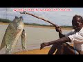 HUNTING FISH FRY | Thoondil Pottu Kulathil Meen Vettai | Fish Caching and Cooking Karuppasami[KGF] |