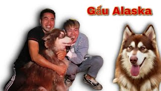 Duong KC | Missing Alaskan Bear Found! screenshot 5