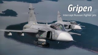 JAS 39 Gripen multirole Fighter Aircraft Intercept Russian Fighter jets