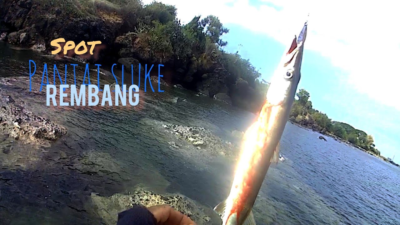 casting pinggiran di pantai manggar dapat ikan tunul