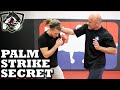 Bas Rutten's Palm Strike KO Secret Technique: Bone Strikes