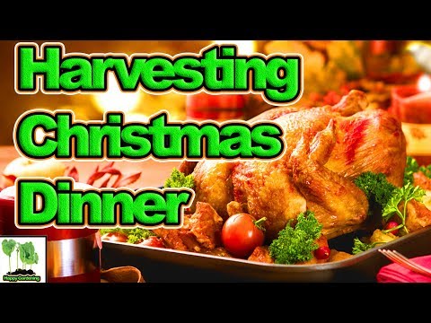 Vidéo: Grow Your Own Christmas Dinner – Servir des légumes du jardin pour Noël
