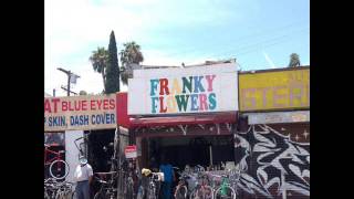 Video thumbnail of "Franky Flowers - As you are"