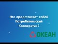 Что представляет собой Потребительский Кооператив?