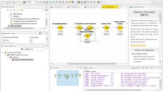 SIIM Predictive Analytics and Deep Learning - Statistics Workflow
