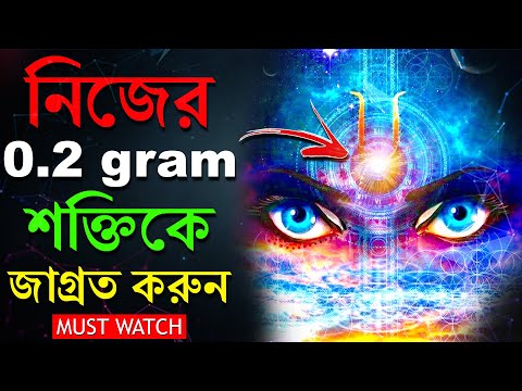 ভিডিও: গল্পে সেটিং ব্যাখ্যা করার W টি উপায়