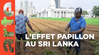 Sri Lanka : les affamés de la crise - ARTE Reportage