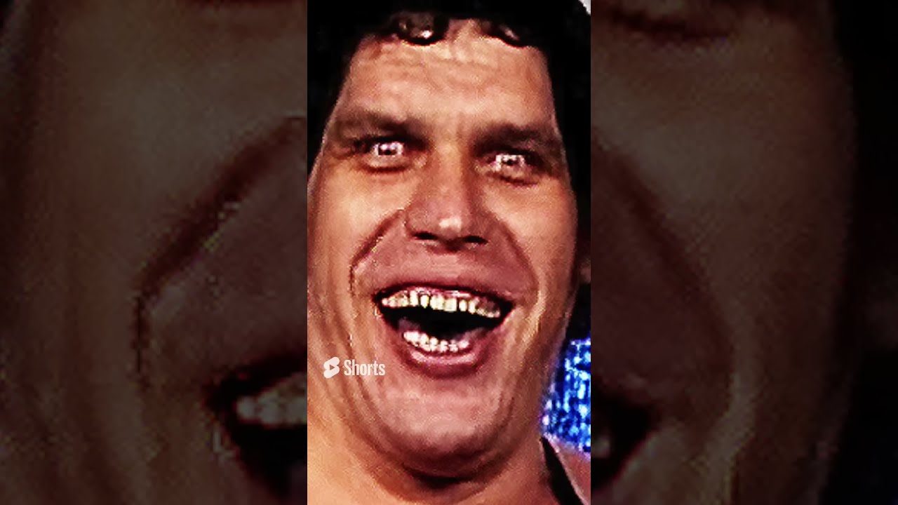 HULK HOGAN Andre The Giant NEVER Brushed His Teeth Shorts