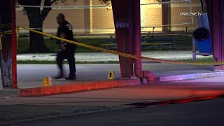 Teenager Fatally Shot in Park