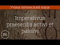 Учим латинский язык #6 Глагол. Imperativus praesentis activi et passivi