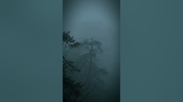 تلاوة خاشعة//بصوت القارئ إسلام صبحي 🎧😌|راحه نفسيه ❤️💕🥀🌿
