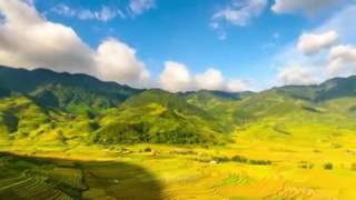 Le Hong Ha Le Hong Ha