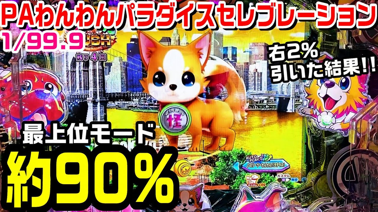 新台入替初日に2％引いた結果!!ノイズ発生から暗転⁉時短突破で連荘率約80％!!【PAわんわんパラダイスセレブレーション甘デジ】【パチ細道】