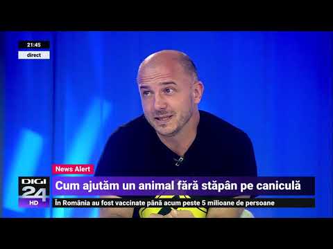 Video: De Ce Medicul Veterinar Nu Recomandă Asigurarea De Sănătate Pentru Animale De Companie