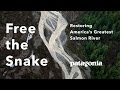 Free the Snake: Restoring America’s Greatest Salmon River