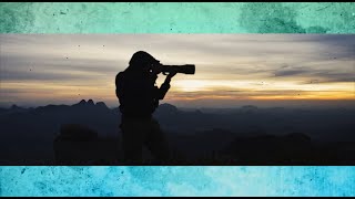 Aventura Animal 2020 vem com tudo na Tv Soft! screenshot 4