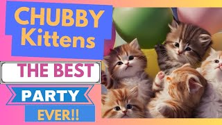 CHUBBY KITTENS  THE BEST PARTY EVER!