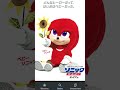 evolution of baby sonic baby tails baby knuckles and baby shadow