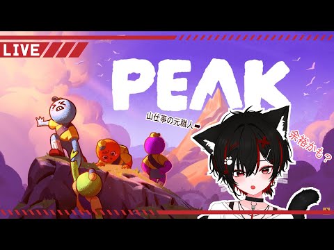 険しい山を親子で登山してみる！【Paek】