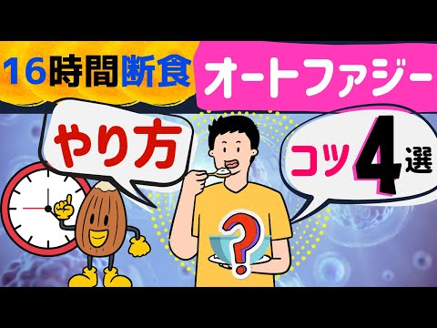 16時間断食オートファジーダイエット＜正しいやり方実践編＞効果上げる４つのコツ