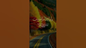 سورة إبراهيم. #دعاء #الله #الحمد_لله #تيك_توك