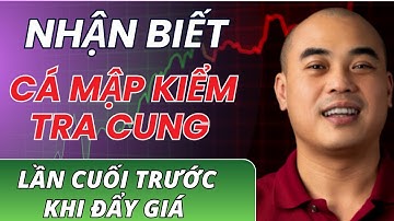 5 Tín hiệu VSA nhận biết cá mập đang KIỂM TRA CUNG LẦN CUỐI trước khi cổ phiếu CHẠY!