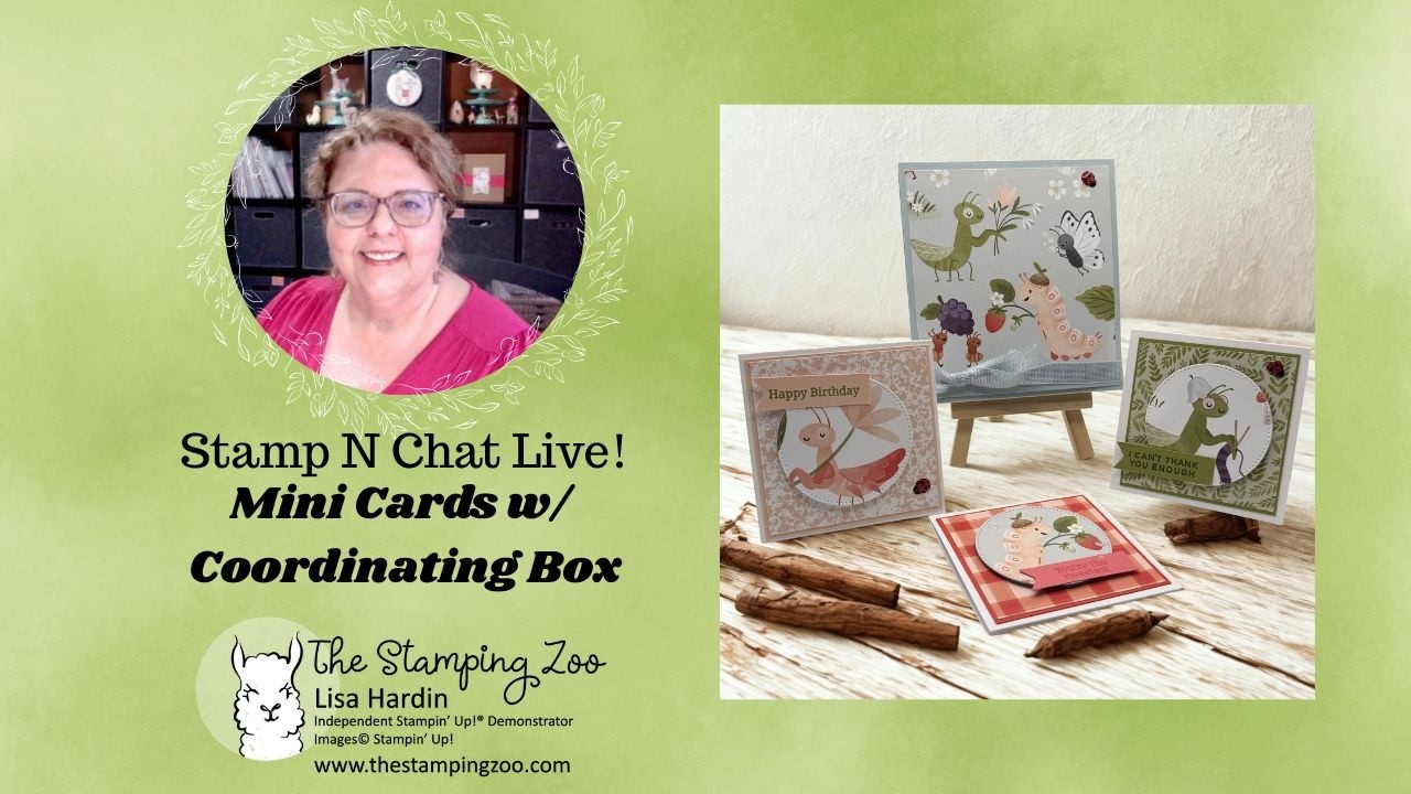 Stamp n Chat LIVE! Mini Cards w/ Coordinating Box