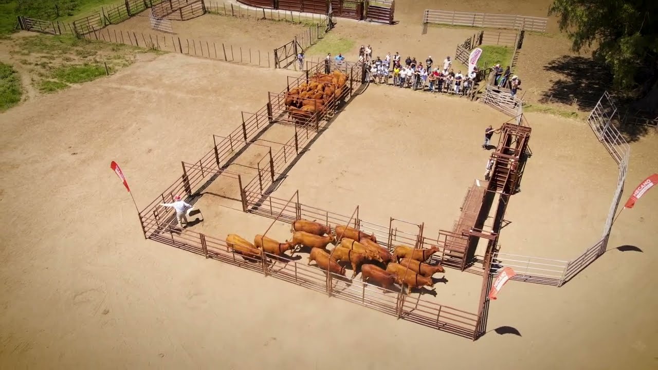 Bud Box, nuevo producto de 