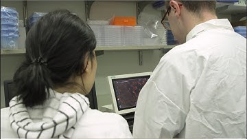 MacSpectrum platform decodes macrophage heterogeneity