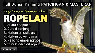 TOP TERAPI !! TRUCUKAN GACOR ROPEL PANJANG, CEPAT MEMANCING TRUCUK BUNYI SEKETIKA GACOR