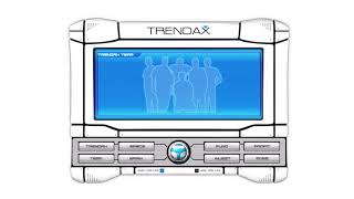 Trendax flash website in 2003