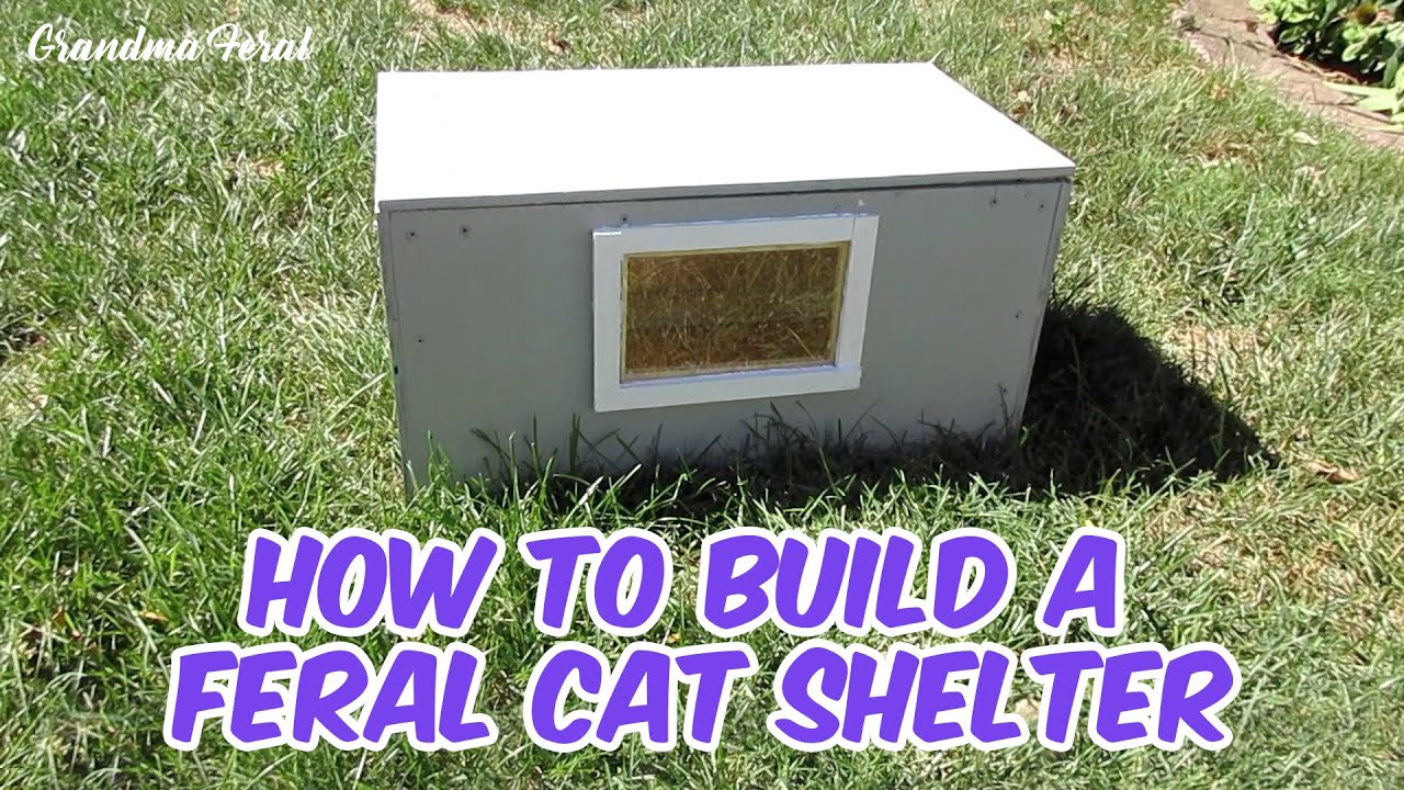 DIY Winter House for Stray Cats - PetHelpful