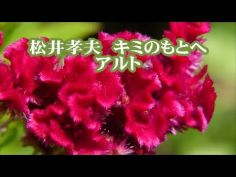松井孝夫　キミのもとへ　アルト　「MY SONGマイソング」より