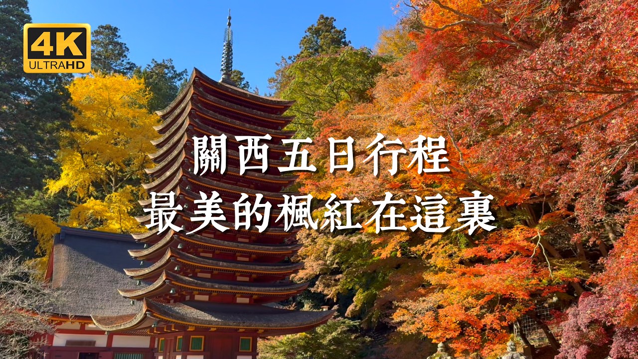 【日本一人旅 EP24】2026關西賞楓就看這一支影片!總結過去三年賞楓經驗推薦的五天行程|京都、奈良、滋賀 縮圖