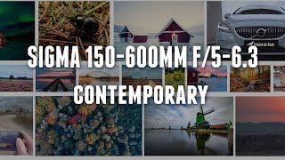 Sigma 150-600mm Review with example pictures