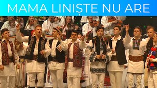 Ficiorii - Mama liniște nu are | 2016