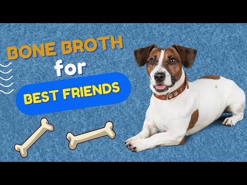 Wideo: Bone Broth for Dogs: „Soul Food” jest idealny dla odżywczych szczeniąt chorych lub starszych