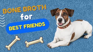 Bone Broth for Dogs