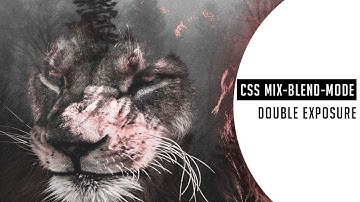 CSS Double Exposure animation Effect | CSS mix-blend-mode property  2019