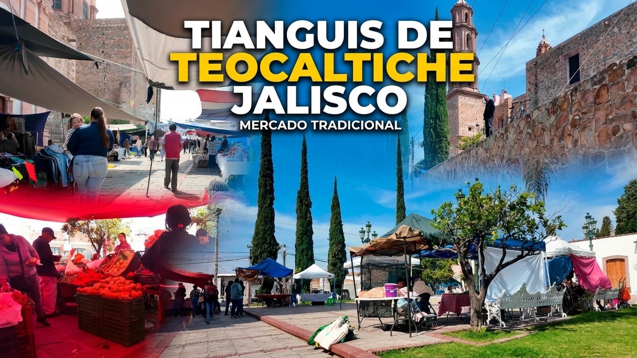 TIANGUIS TEOCALTICHE JALISCO | Mercado tradicional mexicano