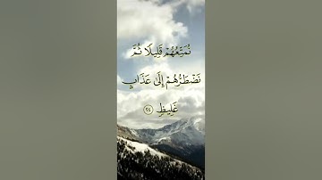 سورة لقمان مكتوبة للقارئ مشاري العفاسي