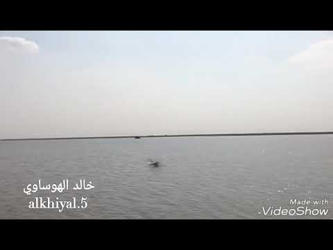 شيلة أبشروا طاح المطر تصويري وإنتاجي