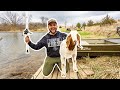 I Took My GOAT FISHING in the BACKYARD POND!!! (Dale Caught His PB)