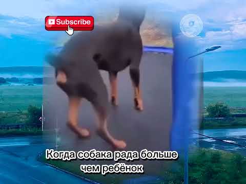 15 августа 2025 г.