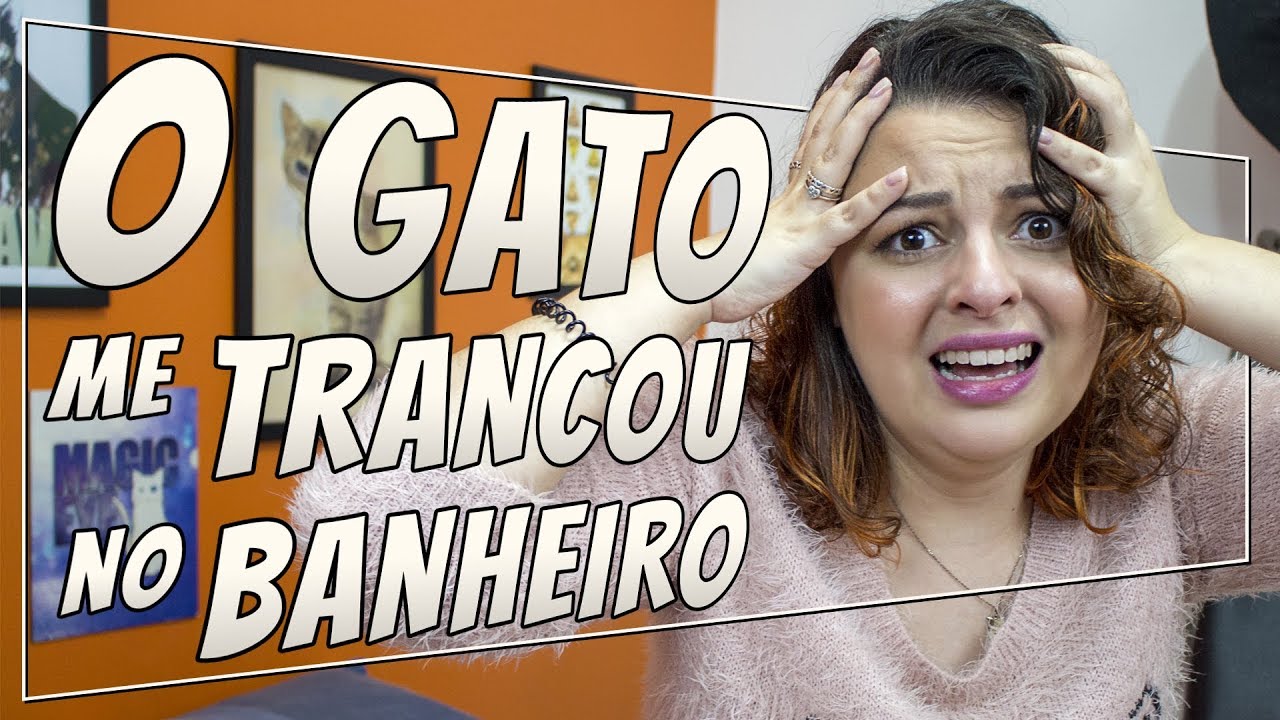 O Dia que EU PERDI um Gato | Perrengues de Cat Sitter