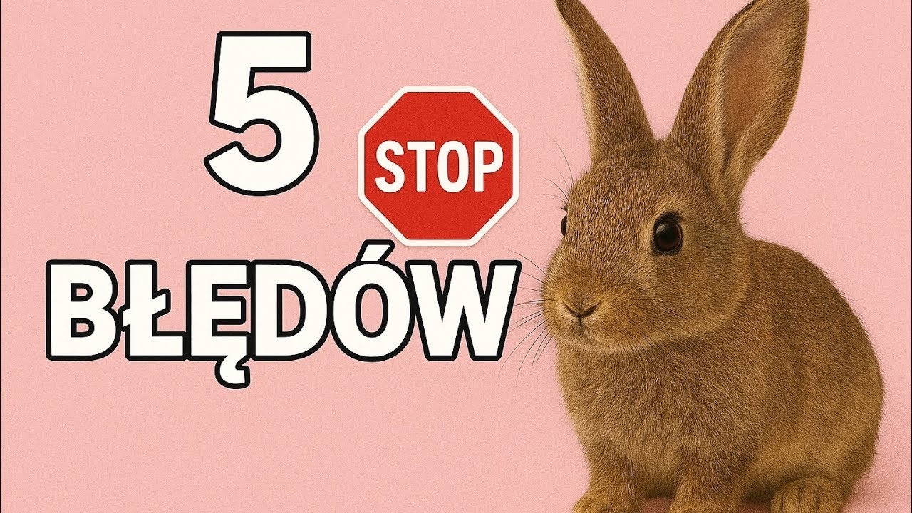 5 błędów, które SKRACAJĄ życie Twojego królika ! 🐇 🚫
