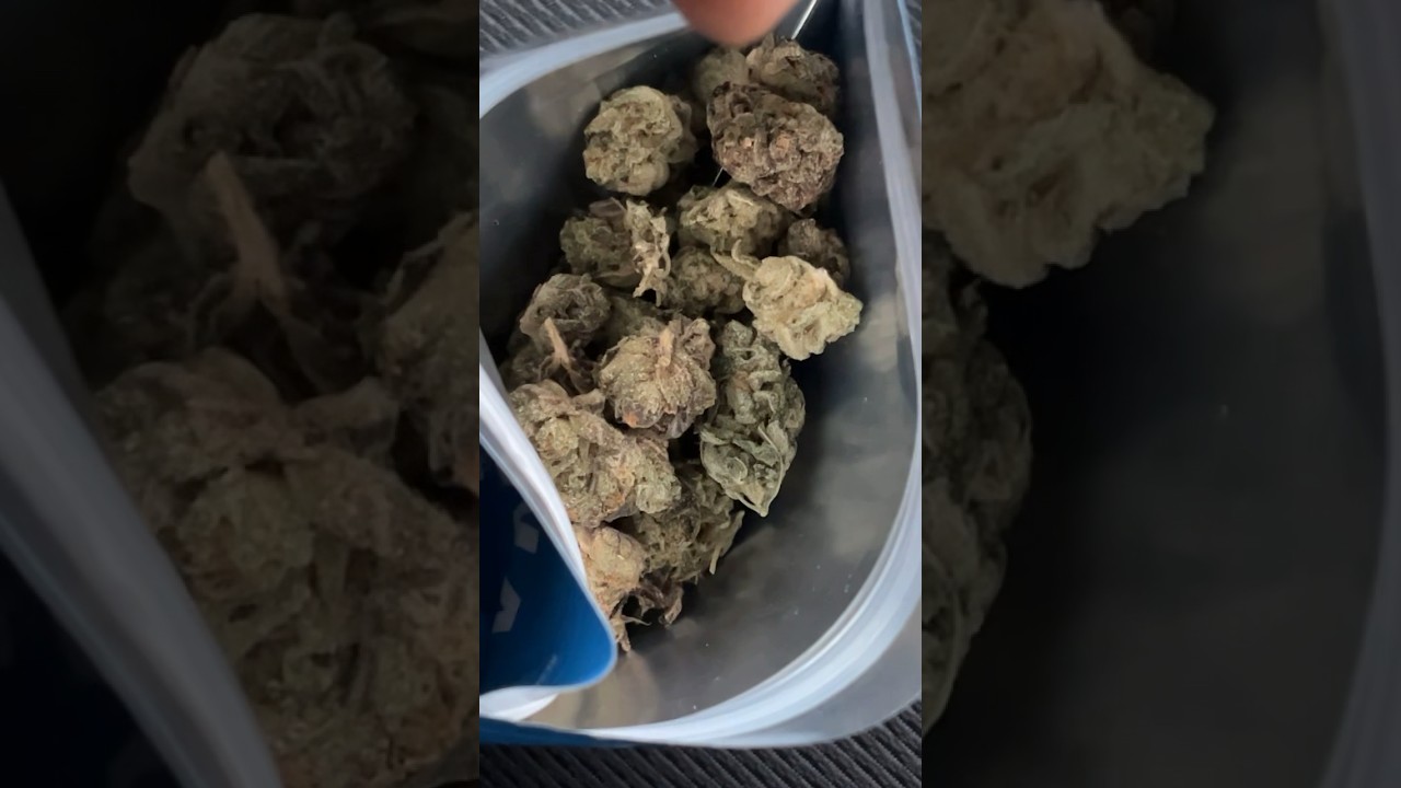 Missouri Pink Runtz Cookies Taste Test! 