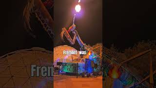 Meet the Las Vegas Praying Mantis #short #lasvegas #fremont