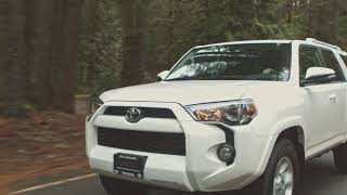 Simple adventure - toyota 4runner