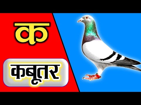 learn Hindi language varnamala pictures and song - YouTube